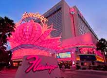 hotel Flamingo Las Vegas