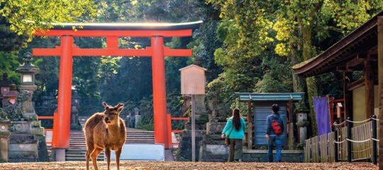 Bezoek Nara of Okinawa
