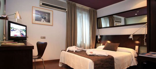 Petit Palace Arana Bilbao Hotel - Vlucht + hotel Bilbao