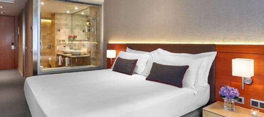 The Artist Grand Hotel of Art - Vlucht + hotel Bilbao