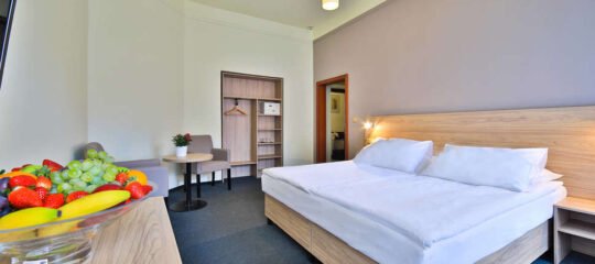 Hotel Atlantic - Vlucht + hotel Praag