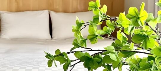 上野超豪华4人间 东京超级中心Ydoa 设计师房间 上野公园3分钟 车站1分钟 超级繁华 免费wifi 戴森吹风