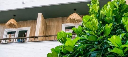 Casa Lyrata Comfort & Design