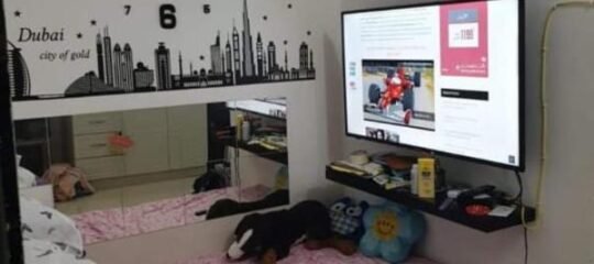 Perfecto Studio Apartments