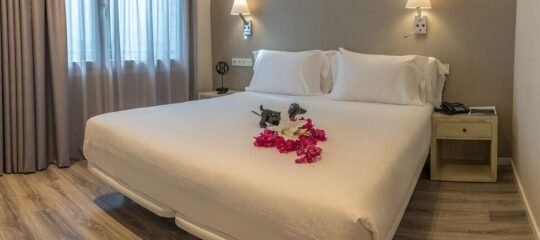 Abba Suites Bilbao City Center - Vlucht + hotel Bilbao