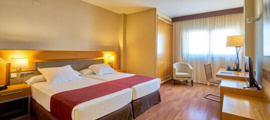 Hotel Guadalmedina - Vlucht + hotel Málaga