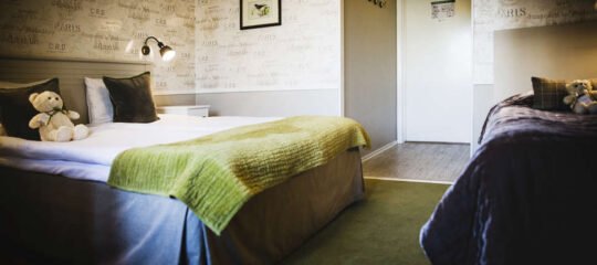 Freys Hotel Lilla Radmannen - Vlucht + hotel Stockholm