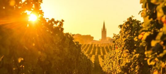 Hôtel Mercure Bordeaux Cité Mondiale Centre-Ville - Vlucht + Hotel Bordeaux