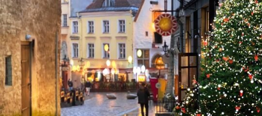 Hestia Hotel Seaport - Vlucht + Hotel Tallinn