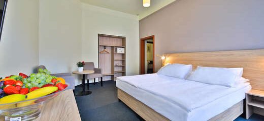 Hotel Atlantic - Vlucht + hotel Praag