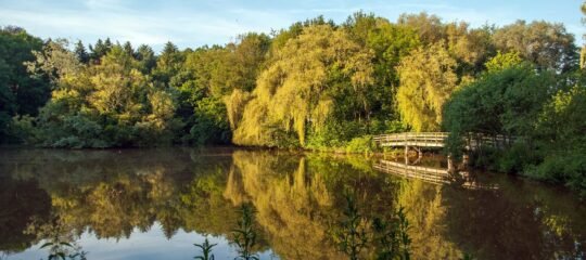 Bad Boekelo | Heerlijk ontspannen in de natuur | Kies je eigen verblijfsduur
