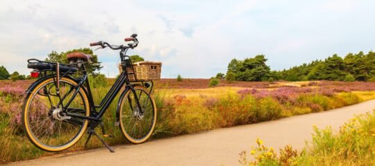 Bilderberg Hotel de Bilderberg | Verblijf in de prachtige bossen van de Veluwe | incl. diner
