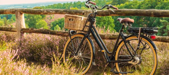 Boshotel Overberg | 3-Daags verblijf tussen Arnhem en Utrecht bij Nationaal Park de Utrechtse Heuvelrug | incl. 3-gangendiner