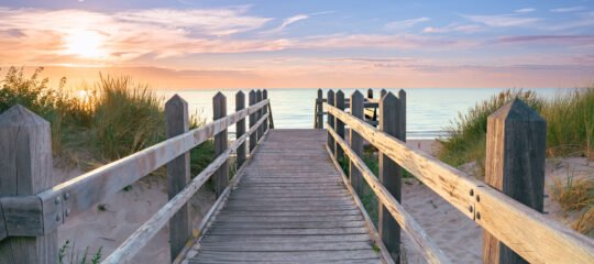 Carlton Oasis | Verken de ongerepte natuur van het eiland Voorne-Putten per fiets | incl. diner