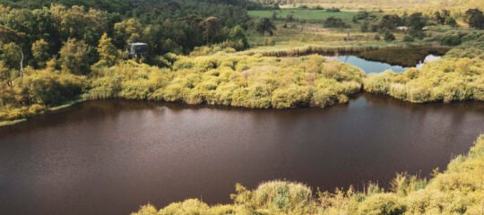 Corsendonk Turnova | Verken de prachtige natuur van de Kempen