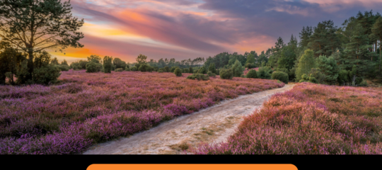 Gasterij Hotel Dennenoord | Geniet van Brabantse gastvrijheid midden in Het Groene Woud | Kies je eigen verblijfsduur