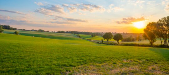 Hotel Asteria | Ontdek de schoonheid van de natuur in het prachtige Noord Limburg | incl. diner