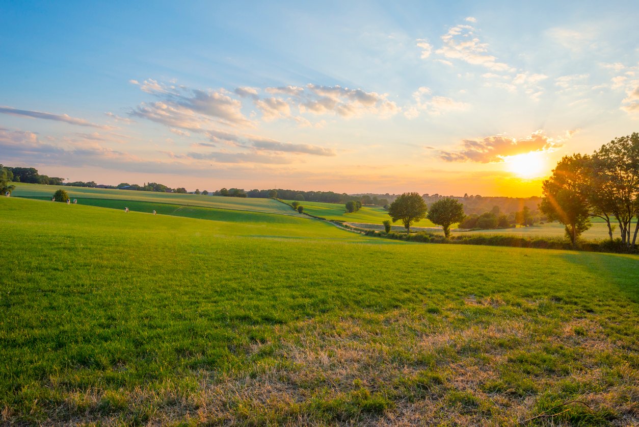 Hotel Asteria | Ontdek de schoonheid van de natuur in het prachtige Noord Limburg | incl. diner