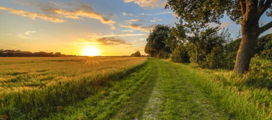 Hotel Hof van Gelre | Verken&beleef de prachtige groene omgeving van Lochem | incl. diner
