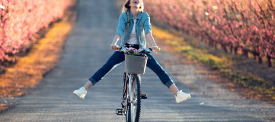 Hotel Hoogeerd | Minivakantie: Verken en beleef de mooiste fietsroutes langs de Maas | incl. 3-gangendiner