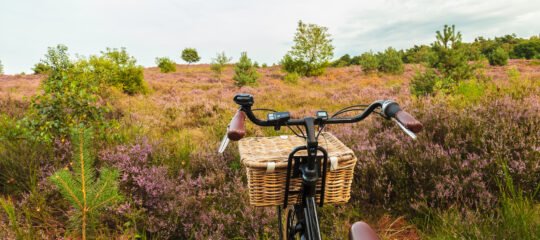 Hotel Oringer Marke&Stee | Minivakantie: Verken de mooiste wandel- en fietsroutes van Drenthe | incl diner
