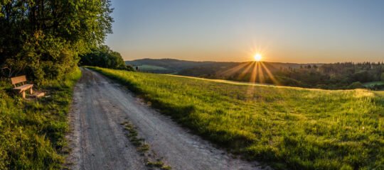 Hotel Restaurant Ruimzicht | Ons beste fietsarrangement van de Achterhoek | incl. diner