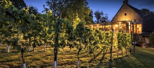 Hotel Winselerhof | Ervaar luxe en rust in 16e-eeuwse herenboerderij in Zuid-Limburg | incl. culinair 3-gangendiner