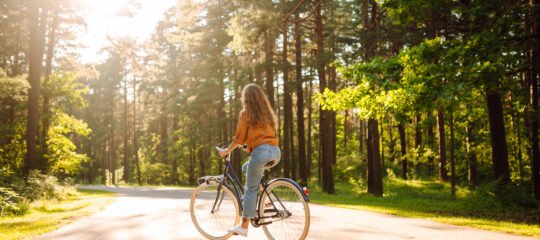 Hotel de Zwaan | Verken de mooiste fietsroutes van Overijssel | Schilderachtige natuur en charmante Hanzesteden | incl. diner