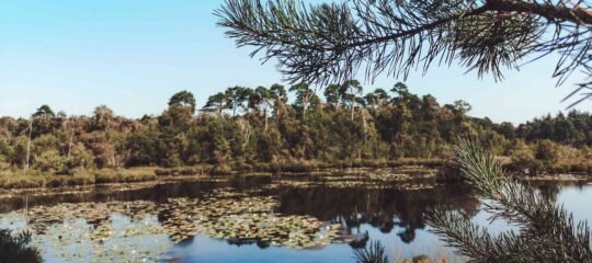 Landgoed de Rosep | Minivakantie in het hart van een prachtige groene omgeving | incl. 3-gangendiner
