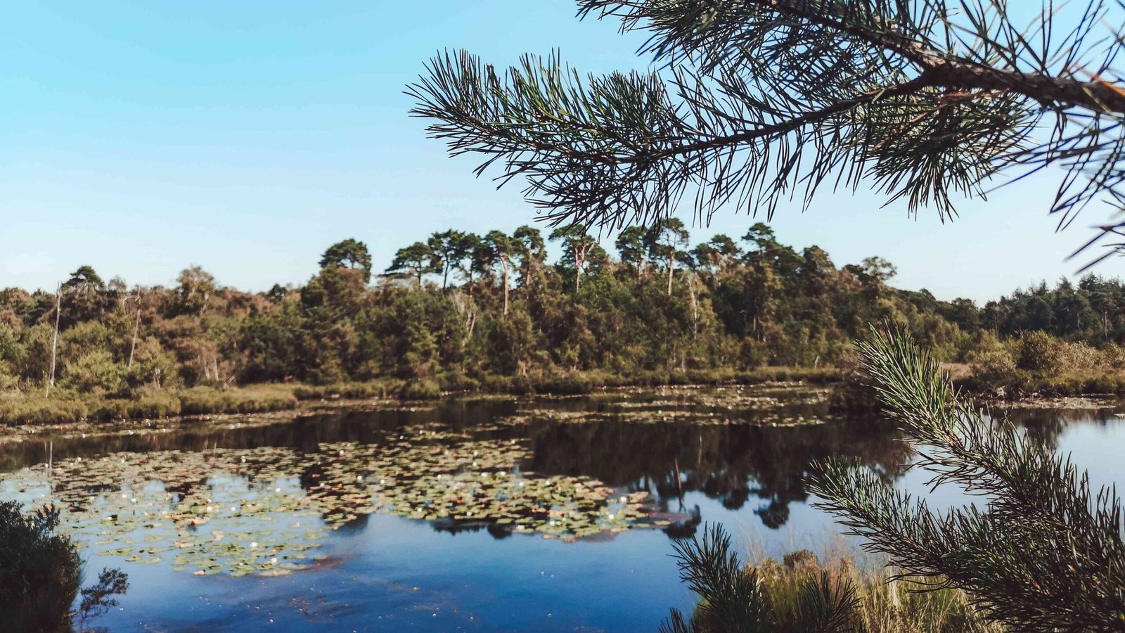 Landgoed de Rosep | Minivakantie in het hart van een prachtige groene omgeving | incl. 3-gangendiner