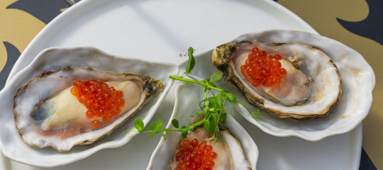 Logan Landing | Beleef een ultieme culinaire ervaring in Zeeland | incl. 4-gangendiner&oester experience