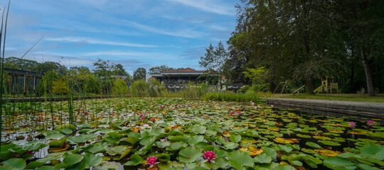 Resort Bad Boekelo | Minivakantie: 4-Daags verblijf in‘de achtertuin van Nederland’Twente | incl. 3-gangendiner