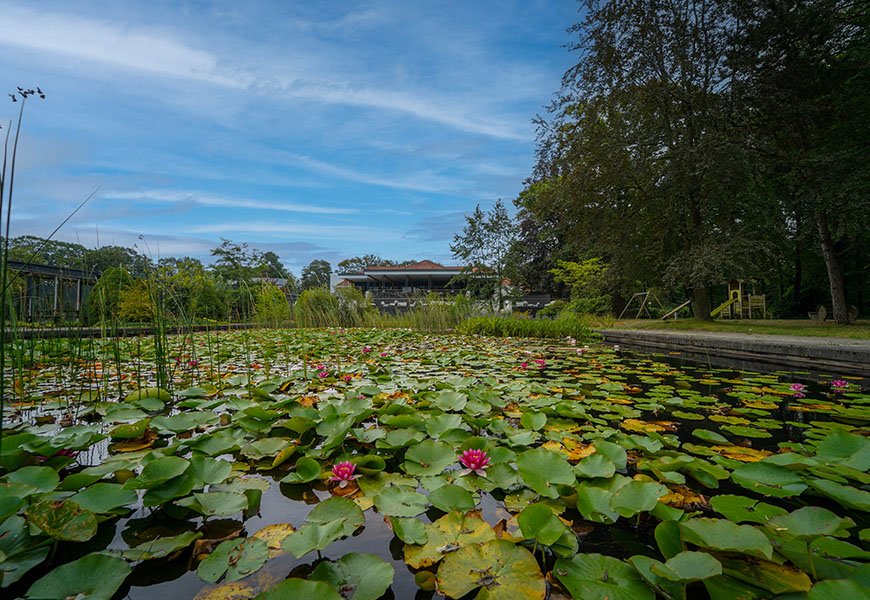 Resort Bad Boekelo | Minivakantie: 4-Daags verblijf in‘de achtertuin van Nederland’Twente | incl. 3-gangendiner