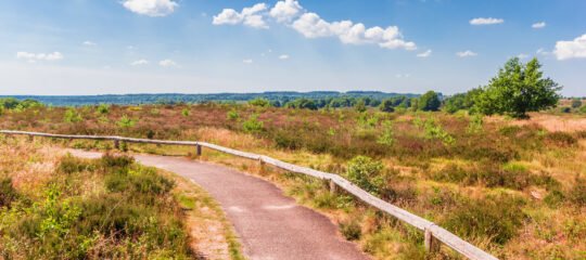 Resort Bad Boekelo | Verken en beleef veelzijdig Twente | incl. diner