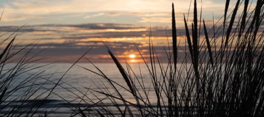 Two Brothers Noordwijk Beach | Geniet optimaal van de Nederlandse kust vanuit een 4*-hotel aan de boulevard | incl. diner