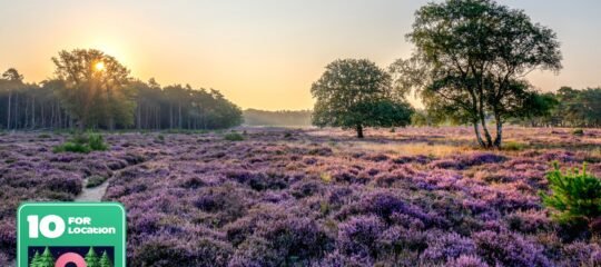 Veluwe Hotel Stakenberg | Geniet van de schoonheid van de Veluwe | incl. diner