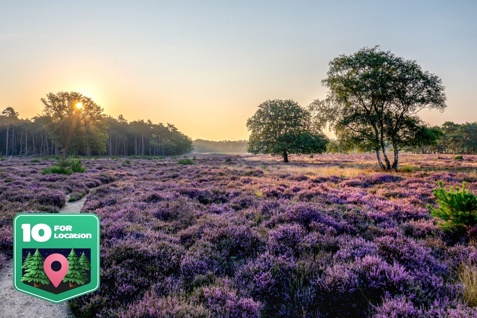 Veluwe Hotel Stakenberg | Geniet van de schoonheid van de Veluwe | incl. diner