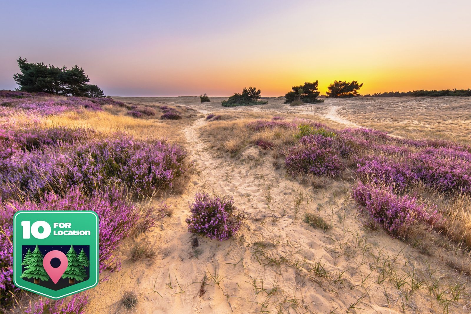 Veluwe Hotel Stakenberg | Minivakantie op een veelzijdig landgoed omgeven door stilte en natuur | incl. diner