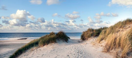 WestCord Strandhotel Seeduyn | Ontdek Vlieland: het mooiste Waddeneiland van Nederland | incl. diner