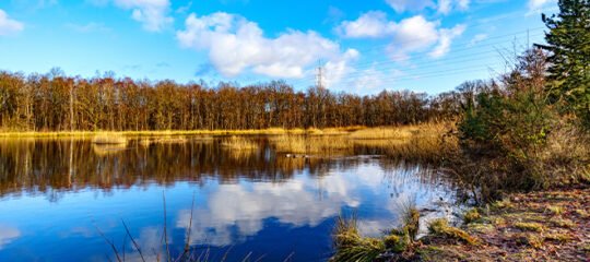 Citytrip Genk Hoge Kempen Nationaal Park