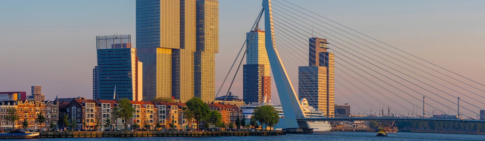 Citytrip Rotterdam