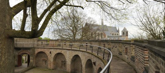 De Burcht van Leiden