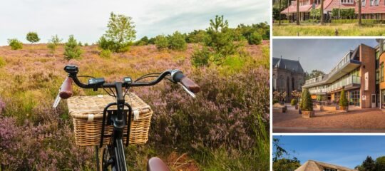 Fietsvakantie 2026 | 4-Daagse fietsvakantie Twente&Salland: Delden - Raalte - Markelo | incl. dagelijks 3-gangendiner