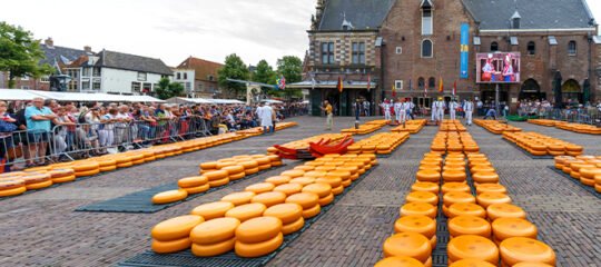 Last minute Alkmaar