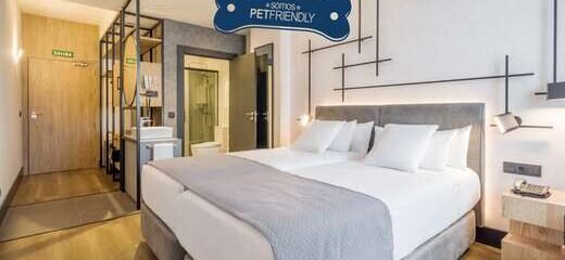 Ilunion San Mames - Vlucht + hotel Bilbao