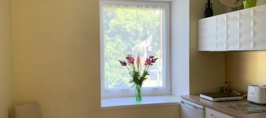 Excelent apartment with garden and free parking