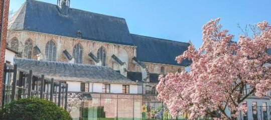 Martin's Klooster