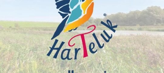 HarTeluk Afsluitdijk Zurich