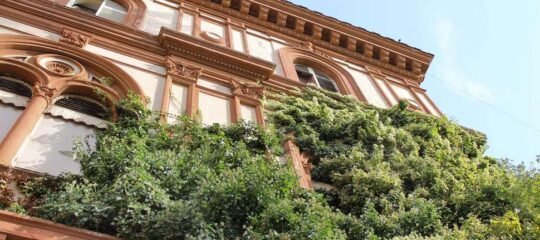 Villa delle Rose - Vlucht + hotel Rome