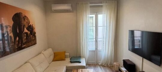 PRECIOUS AND ORIGINAL APARTMENT CENTER